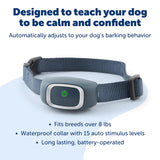 PetSafe Bark Collar