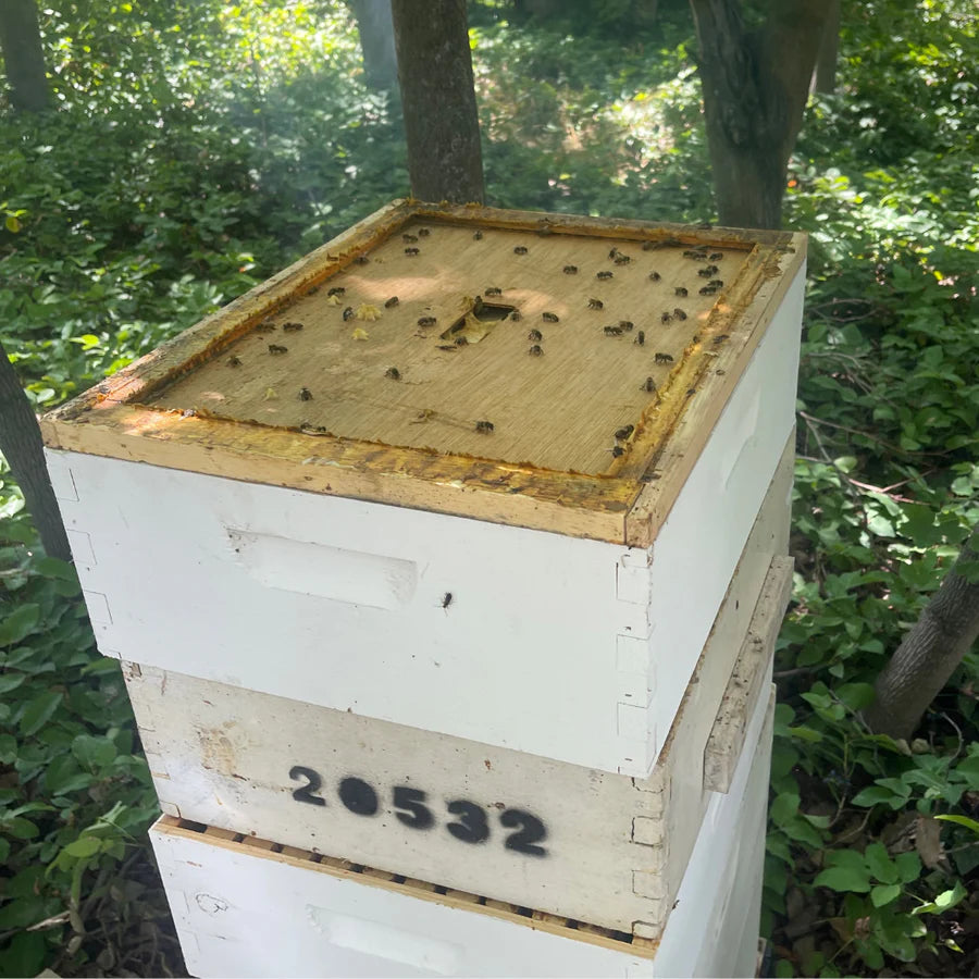 Harvest Lane Honey Beehive Inner Cover for 10 Frame Hives