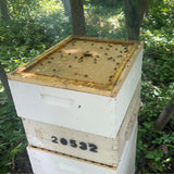 Harvest Lane Honey Beehive Inner Cover for 10 Frame Hives