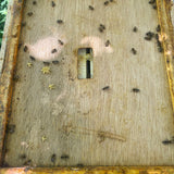 Harvest Lane Honey Beehive Inner Cover for 10 Frame Hives