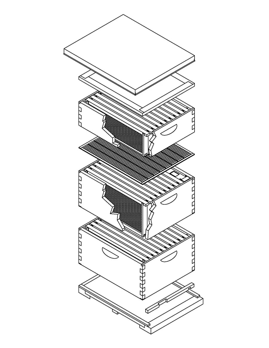 Harvest Lane Honey Beekeeping Deep Brood Box (Assembled) - 10 Frame