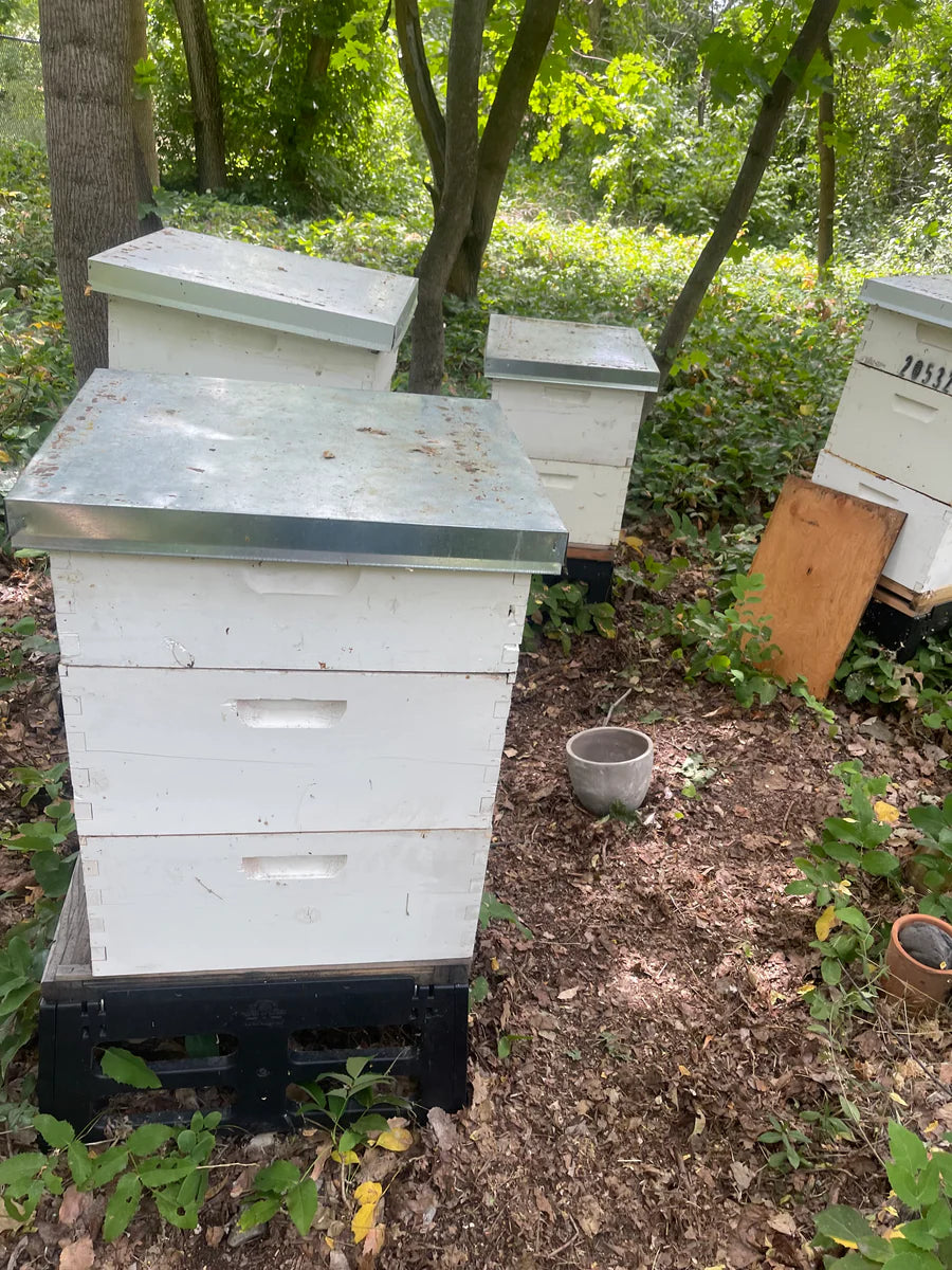 Harvest Lane Honey Beekeeping Hive Stand