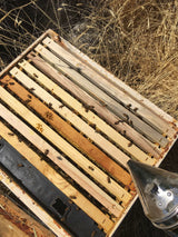 Harvest Lane Honey Beekeeping In-Hive Feeder