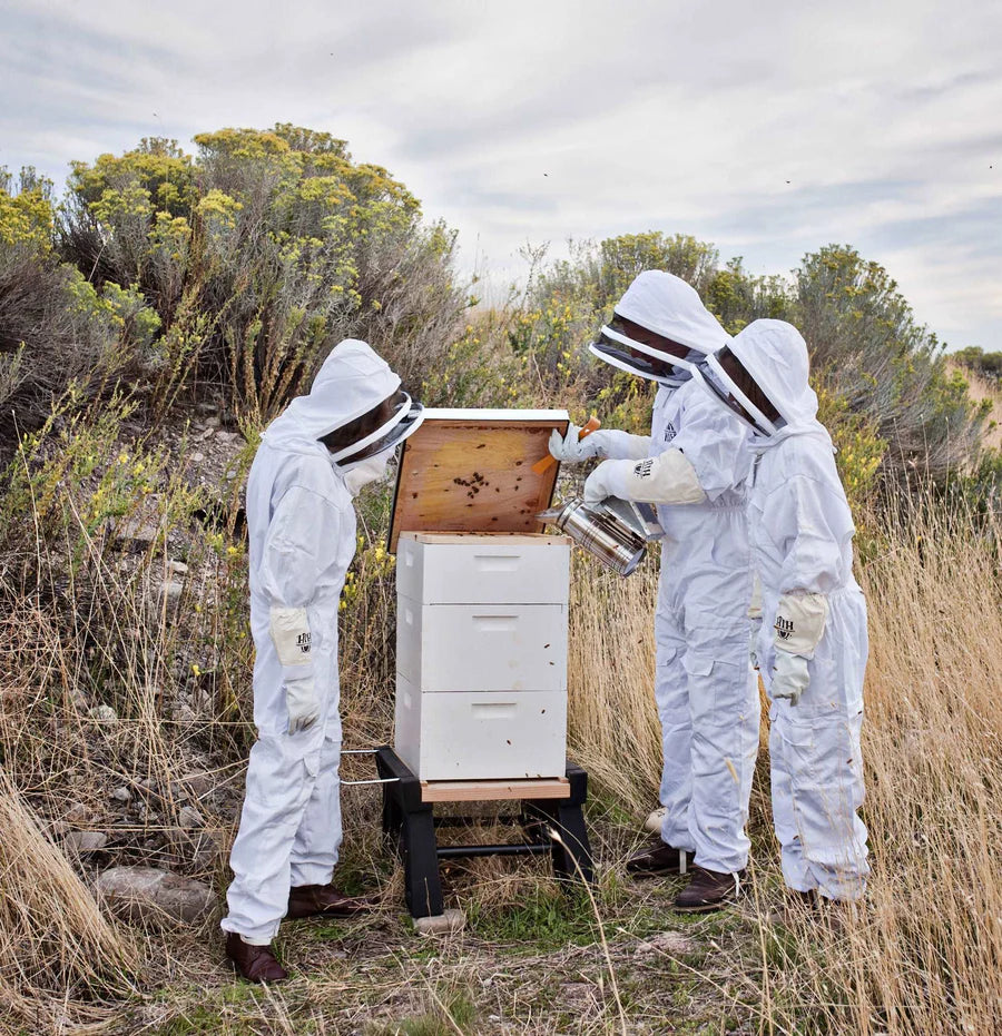 Harvest Lane Honey Beekeeping Medium Box Combo Honey Super (Painted & Assembled) - 10 Frames