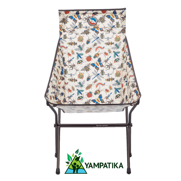 Big Agnes Big Six Camp Chair - Bugs Bugs