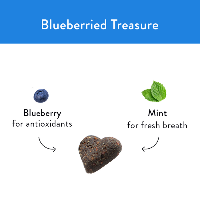 Shameless Pet Blueberried Treasure Soft Baked Dog Treat