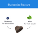 Shameless Pet Blueberried Treasure Soft Baked Dog Treat