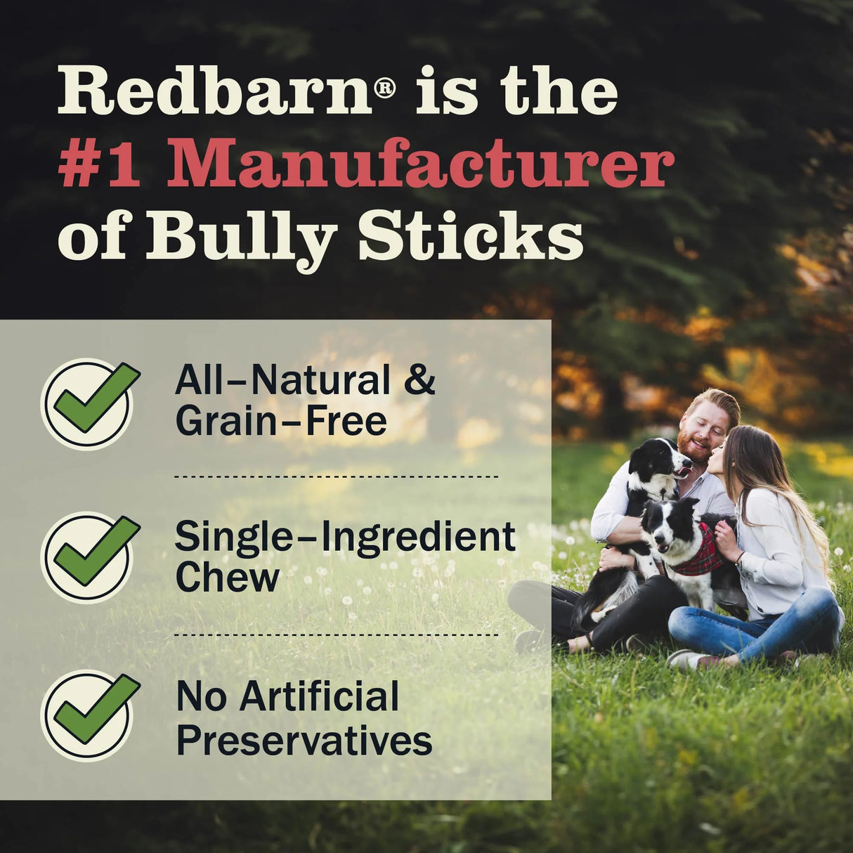 Redbarn Pet Products Braided Bully Stick Dog Chews - 12in. - Individual