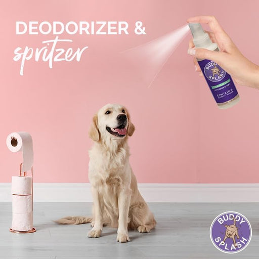 Cloudstar Buddy Splash Spritzer & Conditioner for Dogs (Lavender & Mint) - 4oz & 16oz