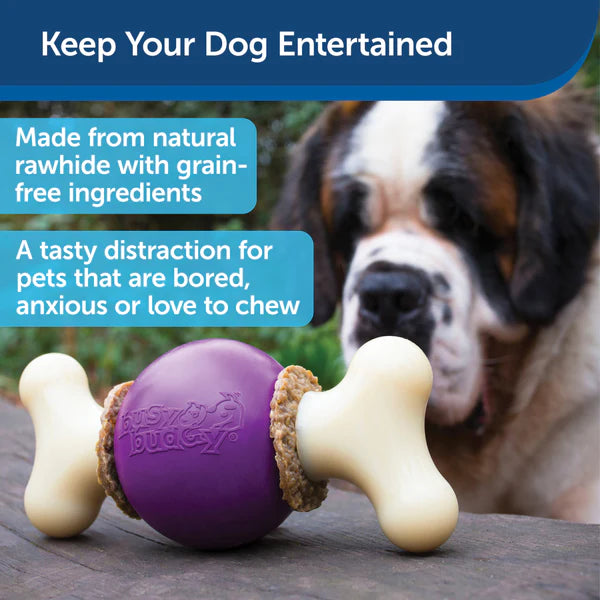 PetSafe Busy Buddy Bouncy Bone