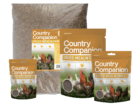 Country Companion Dried Mealworms