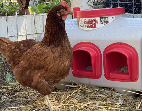 OverEZ Chicken Coop Chicken Feeder