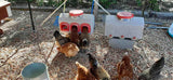 OverEZ Chicken Coop Chicken Waterer