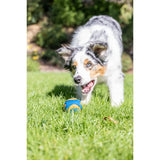 Chuckit! Ultra Squeaker Balls Dog Toy 2 Pack - Medium