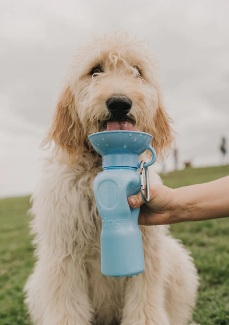 Springer Pets Classic Dog Travel Bottle 22oz - Sky Blue