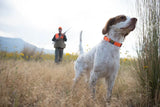 Browning Classic Webbing Collar