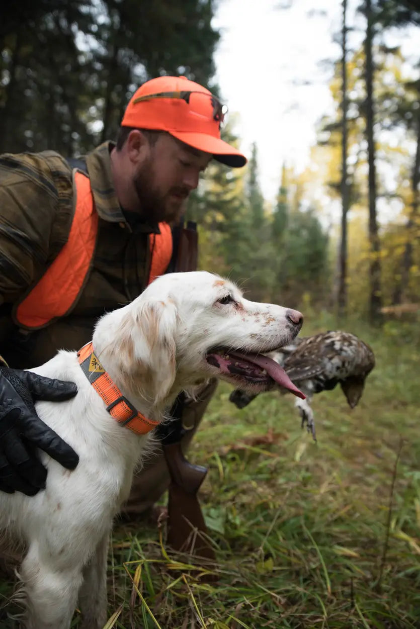 Browning Classic Webbing Collar