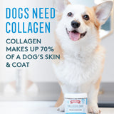 The Missing Link Collagen Care Skin & Coat Soft Chews - 60 count