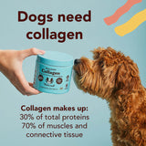 Natural Dog Company Collagen Supplement - 90 Chews