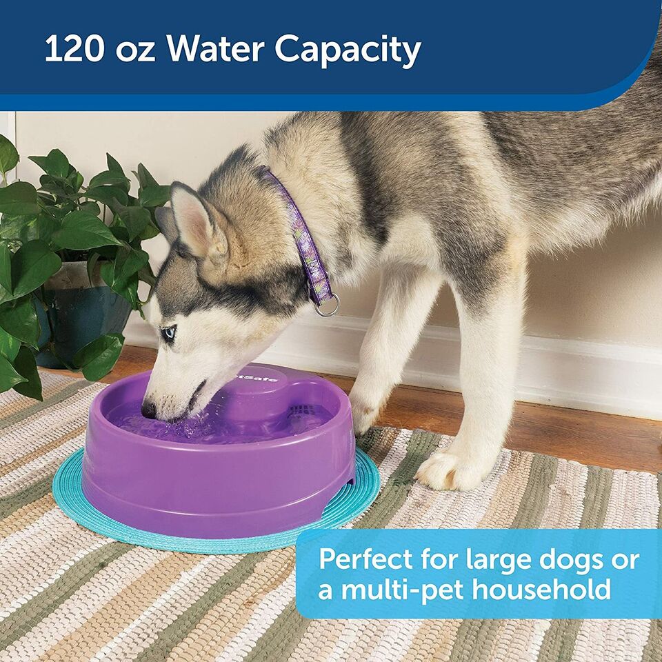 PetSafe Current Circulating Pet Fountain