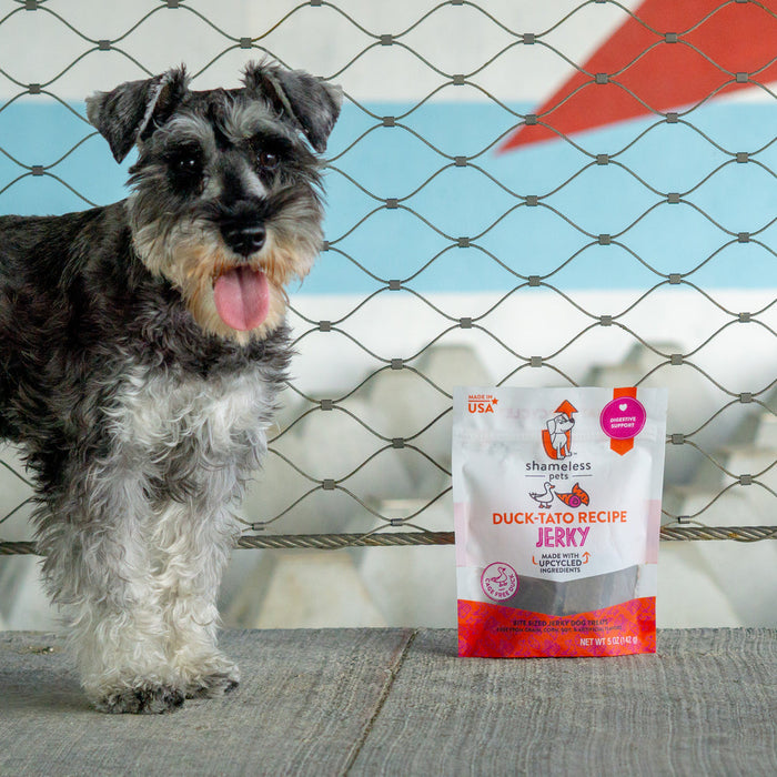 Shameless Pet DuckTato Jerky Bites Dog Treat —