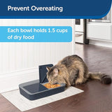 PetSafe Digital 2 Meal Programmable Pet Feeder