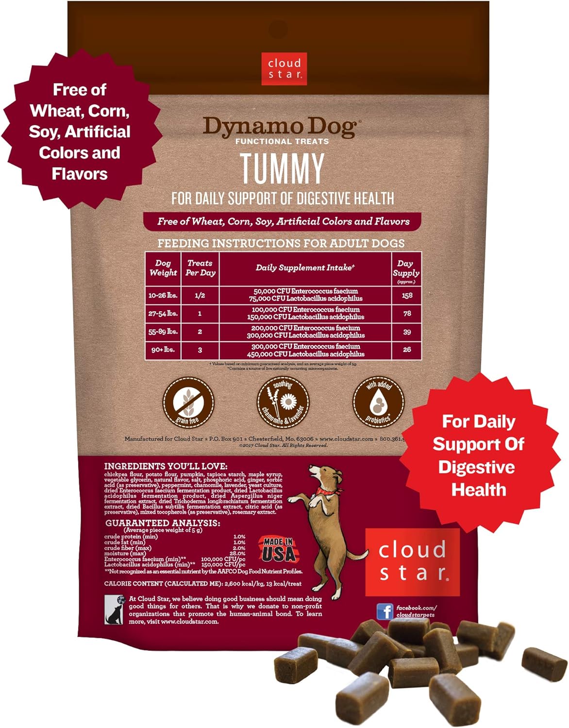 Cloudstar Dynamo Dog Tummy Functional Soft Chews Dog Treats (Pumpkin & Ginger) - 14oz