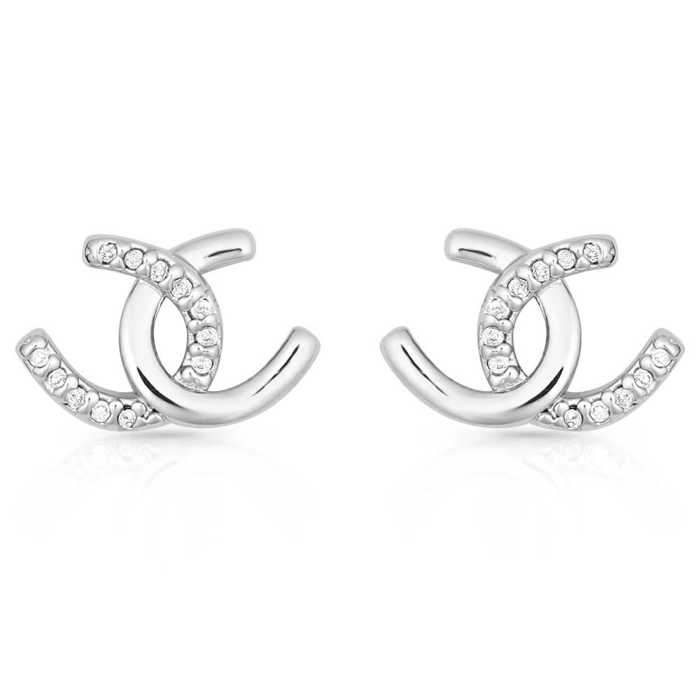 Montana Silversmiths Horseshoe Happiness Post Earrings