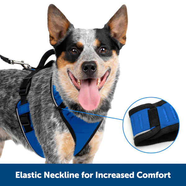 PetSafe EasySport Harness