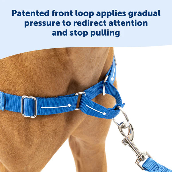 PetSafe Easy Walk No Pull Dog Harness