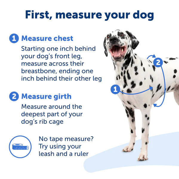 PetSafe Easy Walk No Pull Dog Harness