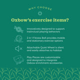 Oxbow Animal Health Enriched Life 2-in-1 Fitness Ball