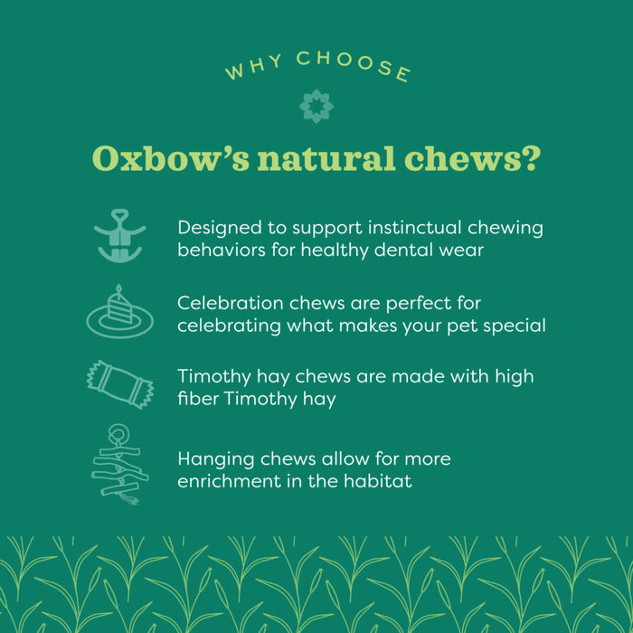 Oxbow Animal Health Enriched Life Apple Stick Bouquet Chew