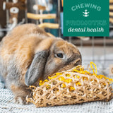 Oxbow Animal Health Enriched Life Apple Stick Bundle Chews