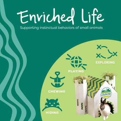 Oxbow Animal Health Enriched Life Birthday Chews Party Pack