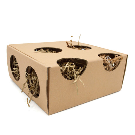 Oxbow Animal Health Enriched Life Burrow Box