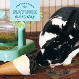 Oxbow Animal Health Enriched Life Celebration Cone Chew