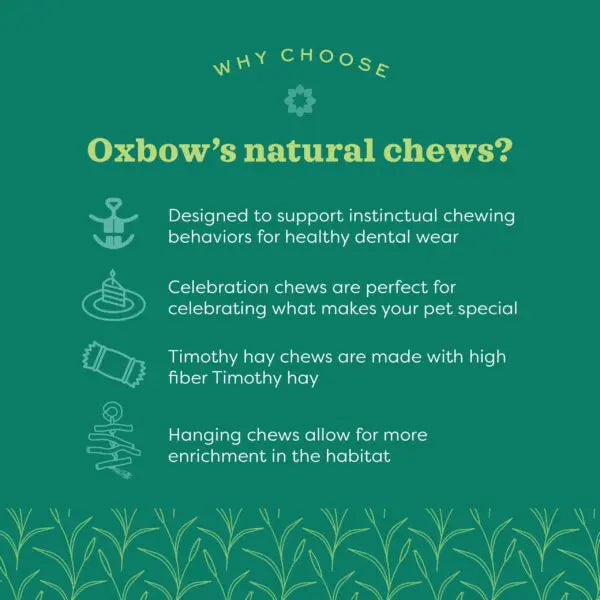 Oxbow Animal Health Enriched Life Celebration Heart Chew