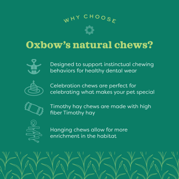 Oxbow Animal Health Enriched Life Color Kabob Chew