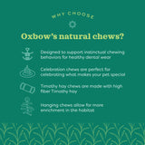 Oxbow Animal Health Enriched Life Crunchy Carrot Chew