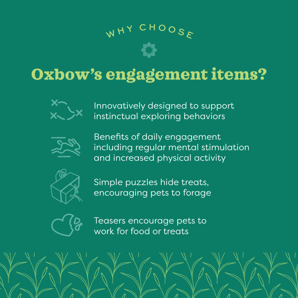 Oxbow Animal Health Enriched Life Garden Forage Puzzle