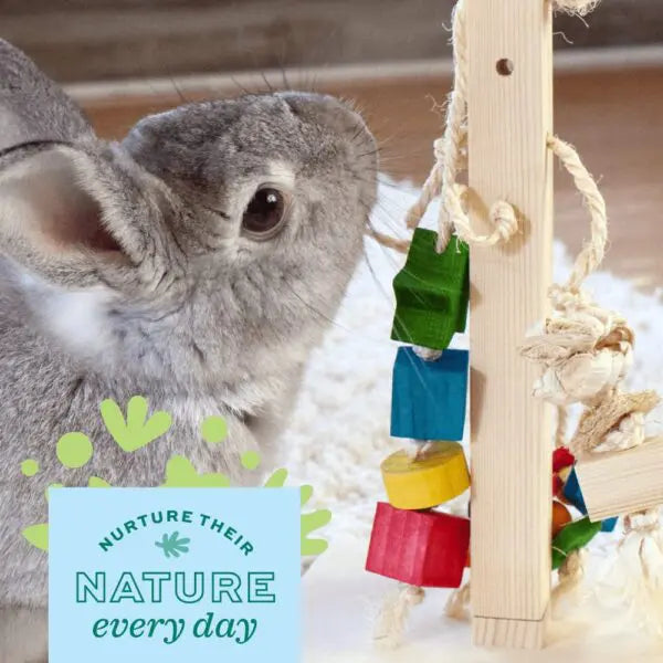 Oxbow Animal Health Enriched Life Natural Play Dangly Toy