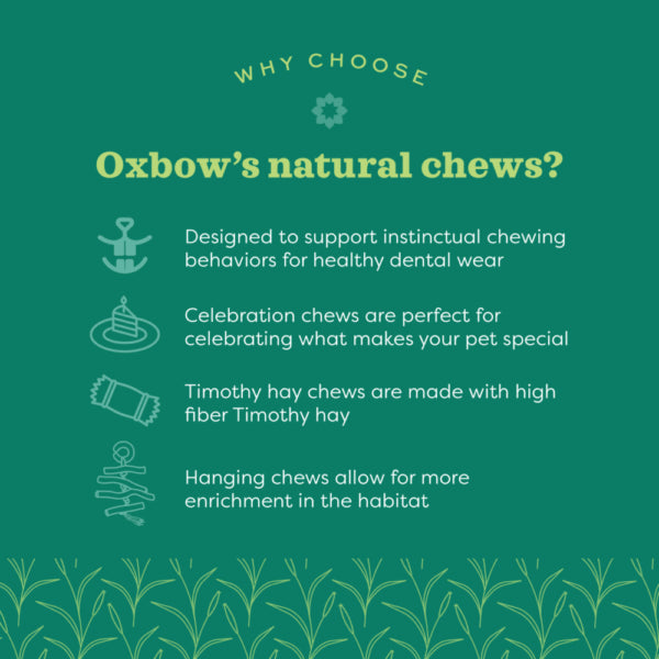 Oxbow Animal Health Enriched Life Pick Up Stix Trio Chew