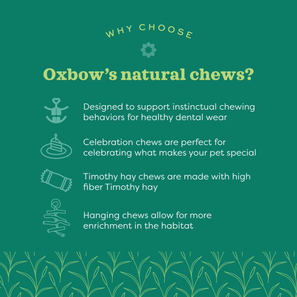 Oxbow Animal Health Enriched Life Timothy Apples & Stix Chews