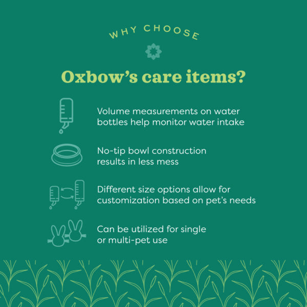 Oxbow Animal Health Enriched Life Wood Brush & Comb