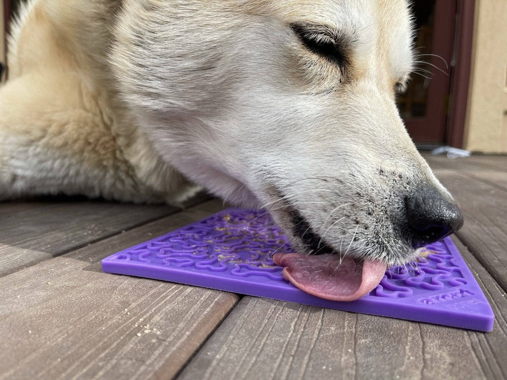 SodaPup Bones Design Lick Mat - Large