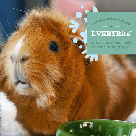 Oxbow Animal Health Essentials Senior Guinea Pig Food - (4lb / 8lb)
