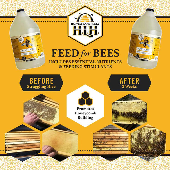 Harvest Lane Honey Feed For Bees with Essential Oils - 1 GAL