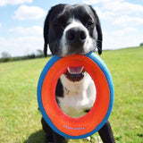 Chuckit! Fetch Wheel Dog Toy - Large