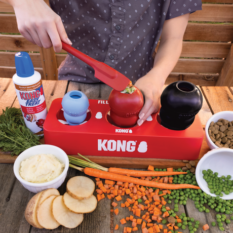 Kong Fill or Freeze Tray